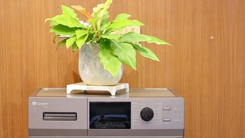 Đây là mẫu máy giặt cửa ngang tiết kiệm điện, sở hữu công nghệ giặt hơi nước SteamWash, giá từ 6 triệu đồng