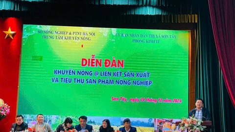 Xây dựng chuỗi liên kết sản xuất và tiêu thụ sản phẩm nông nghiệp bền vững