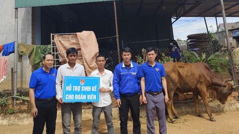 Tặng bò cho đoàn viên dân tộc thiểu số có hoàn cảnh khó khăn