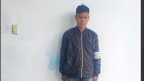 Quảng Nam: Khởi tố đối tượng cưa hạ gỗ trái phép trong rừng