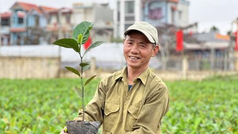 Kiện toàn tổ chức và hoạt động Quỹ Hỗ trợ nông dân Hà Nội