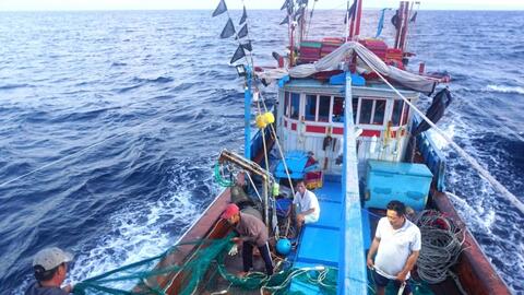 Bà Rịa - Vũng Tàu quyết liệt trong phòng, chống vi phạm IUU