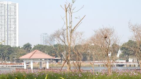 Hà Nội nỗ lực cải tạo công viên, "hồi sinh" những không gian xanh