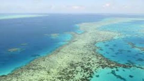 Việt Nam tích cực chung tay bảo tồn và sử dụng bền vững đại dương