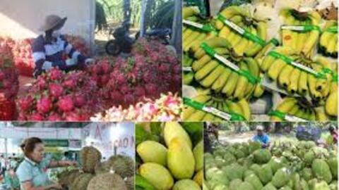 Chế biến sâu: Đòn bẩy đưa nông sản Việt vươn xa