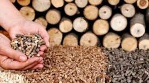 Xuất khẩu viên nén: Tăng trưởng 2 con số và 5 thách thức lớn