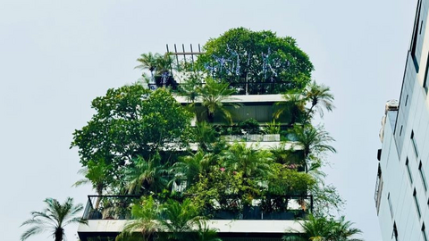 "Xanh hóa" công trình, xu hướng bất động sản bền vững, hiệu quả
