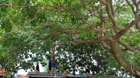 Ninh Bình dừng đón khách du lịch bằng phương tiện đường thủy nội địa