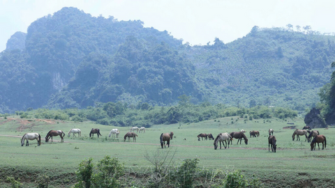 Khơi dậy bản sắc vùng cao, phát triển du lịch cộng đồng bền vững ở Lạng Sơn