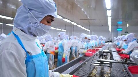 5 năm EVFTA có hiệu lực: Thương mại Việt Nam - EU tích lũy gần 300 tỷ USD