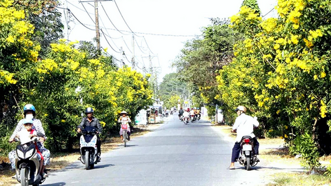 Ngành Công Thương Đồng Nai: Động lực thúc đẩy nông thôn mới nâng cao, kiểu mẫu