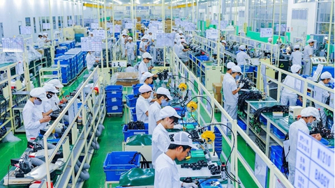 Tổ chức tổng điều tra kinh tế năm 2026 trên phạm vi toàn quốc