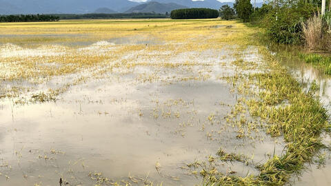 Việt Nam cần 55 - 92 tỷ USD để thích ứng biến đổi khí hậu giai đoạn 2021 - 2030