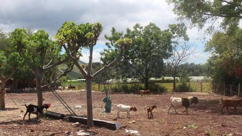 Chương trình 1719: Bước tiến bền vững cho đồng bào dân tộc thiểu số