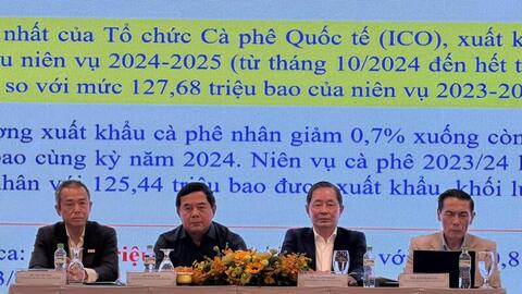 Cần sớm xây dựng thương hiệu cho cà phê Robusta Việt Nam