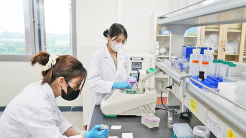 Hà Nội triển khai các chính sách thu hút và trọng dụng nhân tài