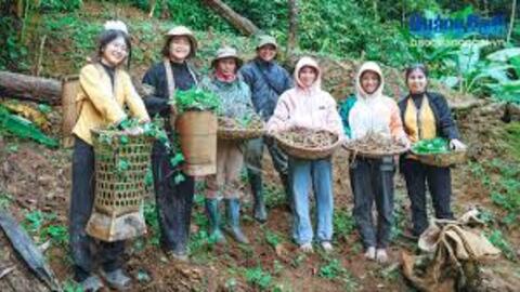Người phụ nữ khởi xướng phát triển các loại dược liệu cho quê hương