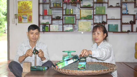 Mô hình trồng chè an toàn giúp nông dân Vô Tranh giảm nghèo bền vững