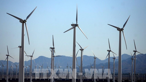 IEA: Năng lượng tái tạo mở rộng nhanh hơn nhiên liệu hóa thạch