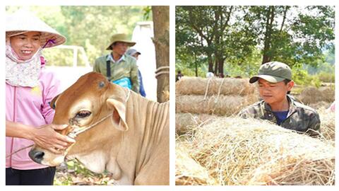 Hơn 120 mô hình sinh kế tạo chuyển biến mạnh mẽ trong công tác giảm nghèo ở Huế