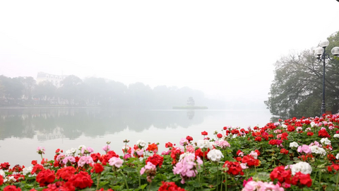 Bắc Bộ và Bắc Trung Bộ trời rét, trưa chiều giảm mây hửng nắng