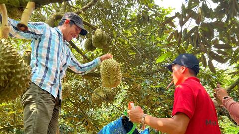 Nông nghiệp Đắk Lắk tăng trưởng xanh từ chuyển đổi số và bảo vệ môi trường