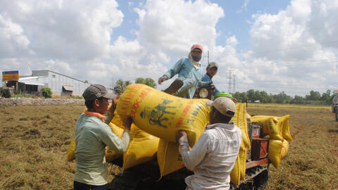 Đồng Tháp nâng cao năng lực cho hợp tác xã trước thách thức biến đổi khí hậu