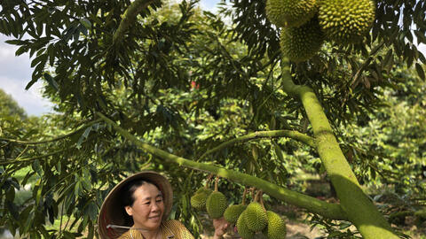 Từ kênh rạch đến cao tốc, miền Tây chuyển mình