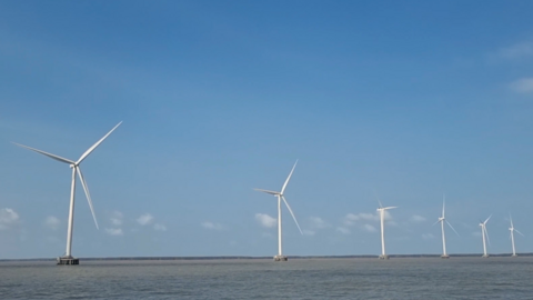 Cà Mau kêu gọi đầu tư 2 nhà máy điện gió quy mô hơn 4.800 tỷ đồng