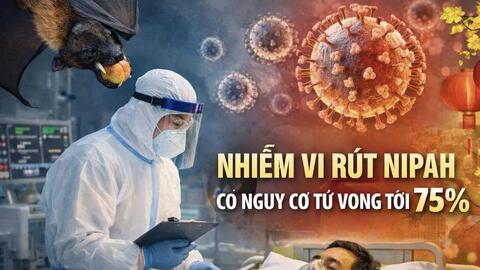 Nhiễm vi rút Nipah có nguy cơ tử vong tới 75%