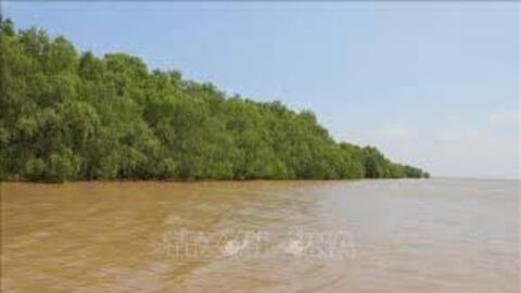 Đánh thức tiềm năng “viên ngọc xanh” nơi hạ lưu sông Hậu