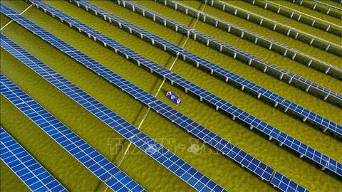 Nhiều dự án điện mặt trời và điện gió bị chậm tiến độ