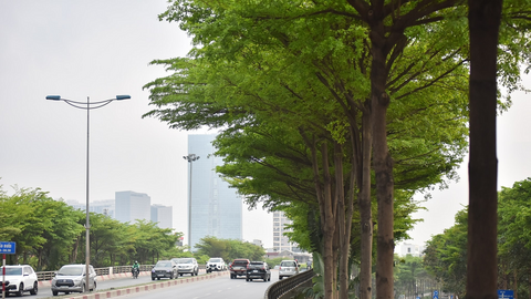 Thời tiết ngày 13/3: Nhiều khu vực có nắng