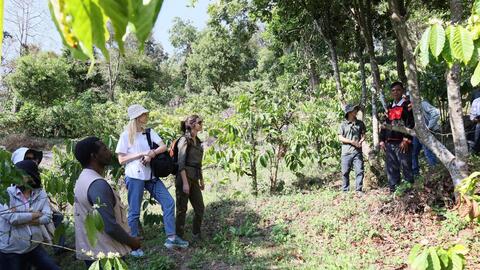 Sinh kế nông nghiệp không gây mất rừng: Hướng đi bền vững cho Tây Nguyên