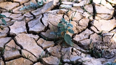 Bảo vệ tài nguyên nước toàn cầu