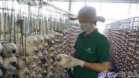 Đắk Lắk: Tăng lực cho doanh nghiệp nhỏ và vừa