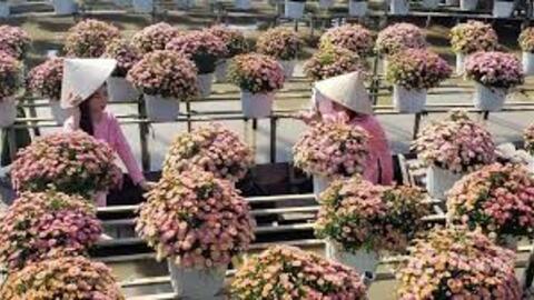 Đồng Tháp đặt mục tiêu đón 8 triệu lượt khách năm 2026