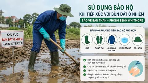 Bộ Y tế cảnh báo bệnh Whitmore: Diễn biến nặng, nguy cơ tử vong cao nếu chủ quan