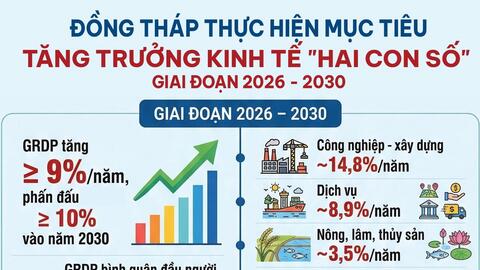 Đầu tàu nào kéo kinh tế Đồng Tháp vượt mốc 10%?