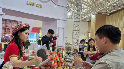 Lào Cai: Mỗi xã, phường thu hút một dự án đầu tư