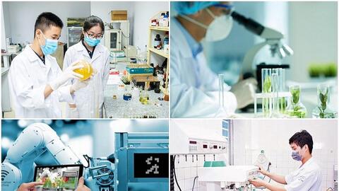 Khoa học công nghệ, đổi mới sáng tạo và chuyển đổi số phải tạo ra sản phẩm cụ thể, đo đếm được
