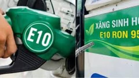 Xăng sinh học E10 có thực sự 'kén' xe như lo ngại?