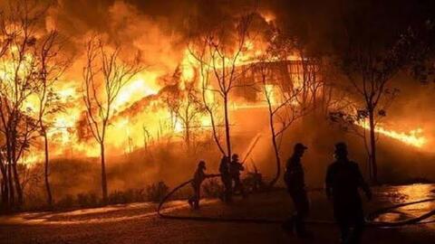 Quan chức EU: Cháy rừng có thể nhấn chìm ‘toàn châu Âu’ chỉ trong vài ngày