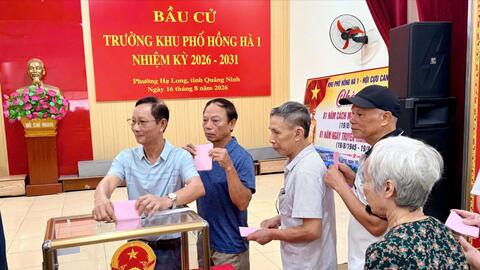 Hơn 357.000 cử tri Quảng Ninh đã đi bầu trưởng thôn, bản, khu phố