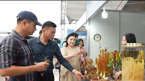 Doanh nghiệp sâm Ngọc Linh thu về hơn 600 triệu đồng tại hội chợ miền Trung - Tây Nguyên