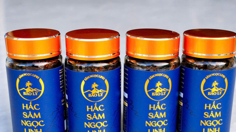 Sâm Ngọc Linh Bảo Ly: Lan tỏa giá trị dược liệu đến cộng đồng