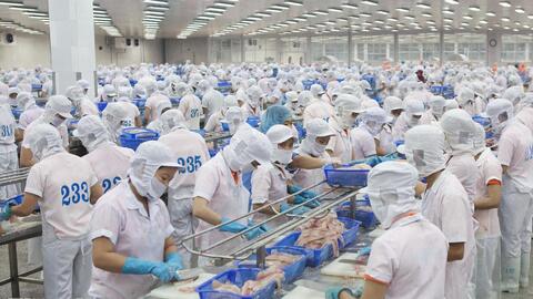 An Giang đặt mục tiêu TFP đóng góp trên 55% tăng trưởng kinh tế
