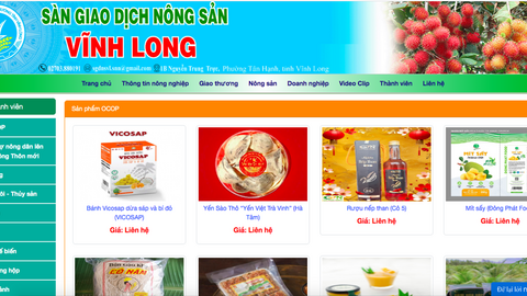 Vĩnh Long thu trái ngọt từ phong trào "Bình dân học vụ số"