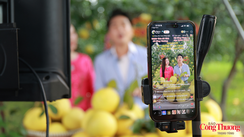 Hà Tĩnh: Đưa nông sản OCOP vươn xa qua phiên Mega Live