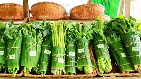 Nâng cao trách nhiệm, thúc đẩy tiêu dùng bền vững